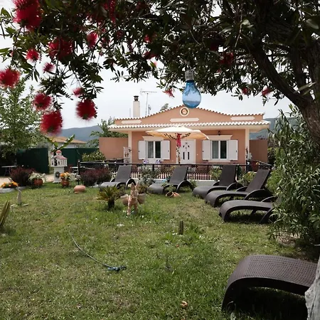 Chrysanthi's House *