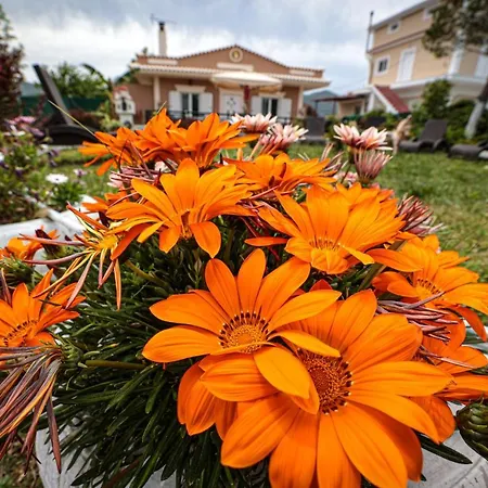 Chrysanthi's House Apartment Agios Kirikos (Zakynthos)