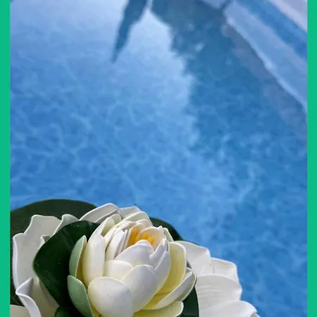 شقة Chrysanthi's House Áyios Kírikos